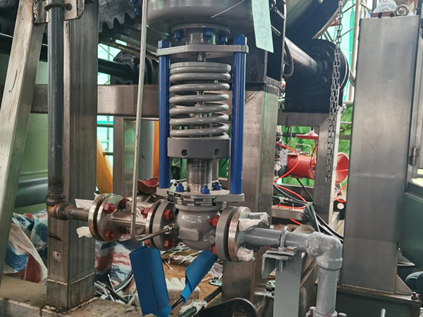 প্রাকৃতিক গ্যাস desulfurization ফিল্টার